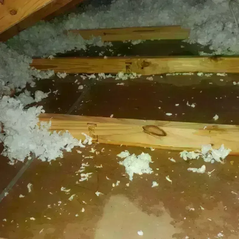 Attic Water Damage in Sublette, KS