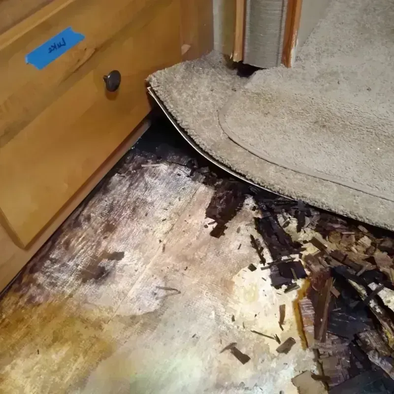 Best Wood Floor Water Damage Service in Sublette, KS